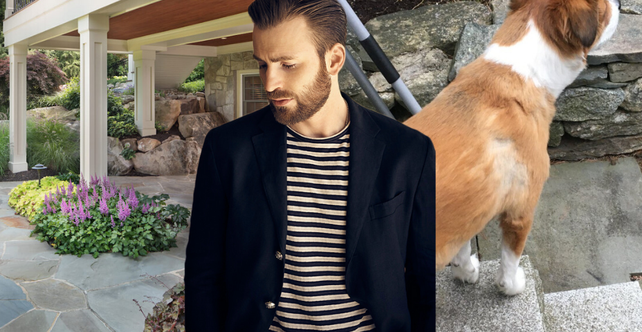 Actor Chris Evans with his dog Dodger