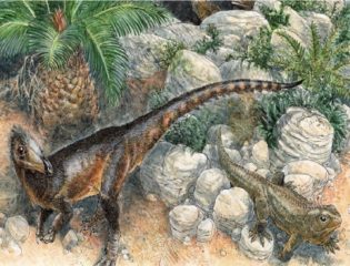 Artistic Representation of Pendraig Milnerae, or the Chief Dragon