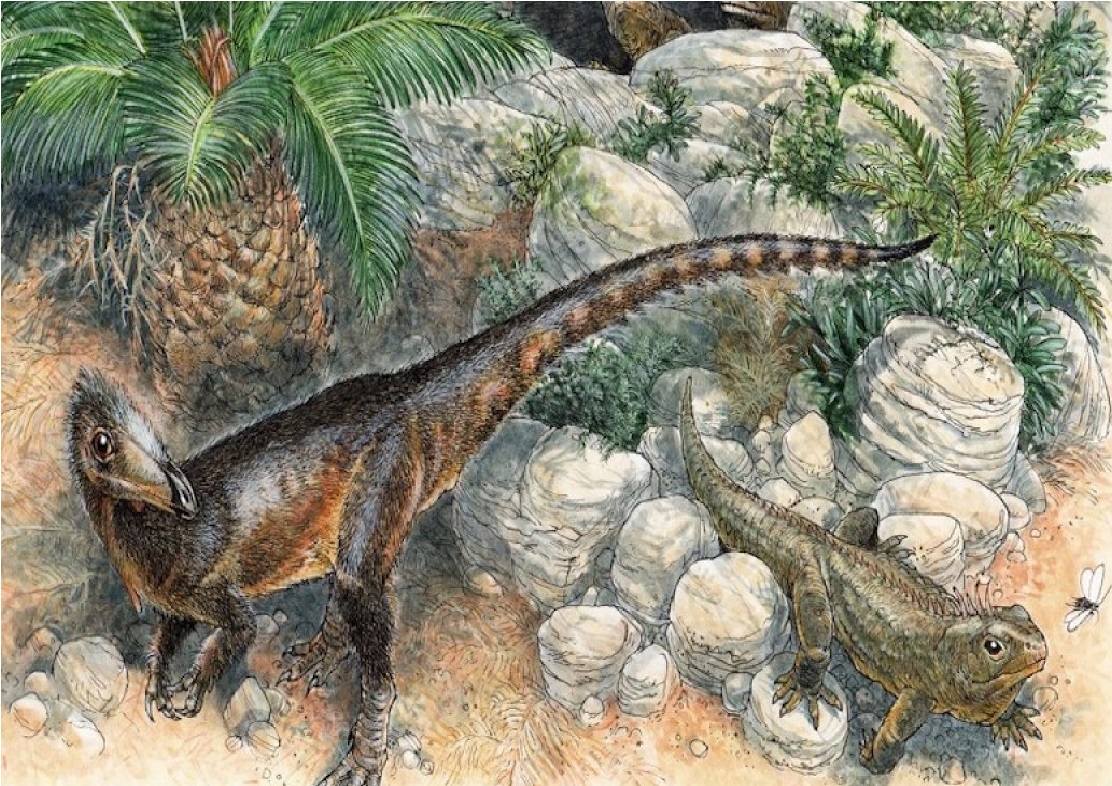 A New Dinosaur Called the Chief Dragon Was the Size of a Chicken